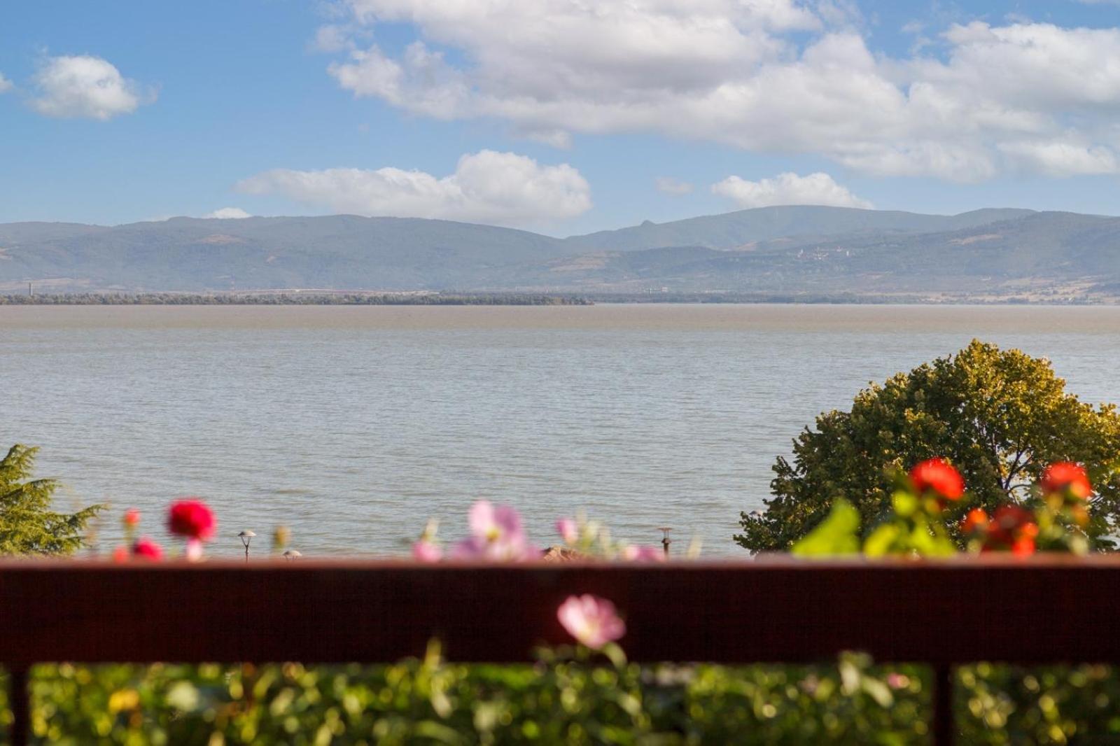 Apartment Amore Mio Golubac Eksteriør billede